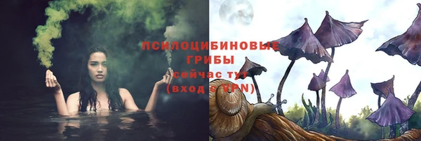 мдпв Беломорск