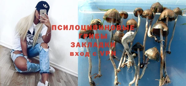 мдпв Беломорск